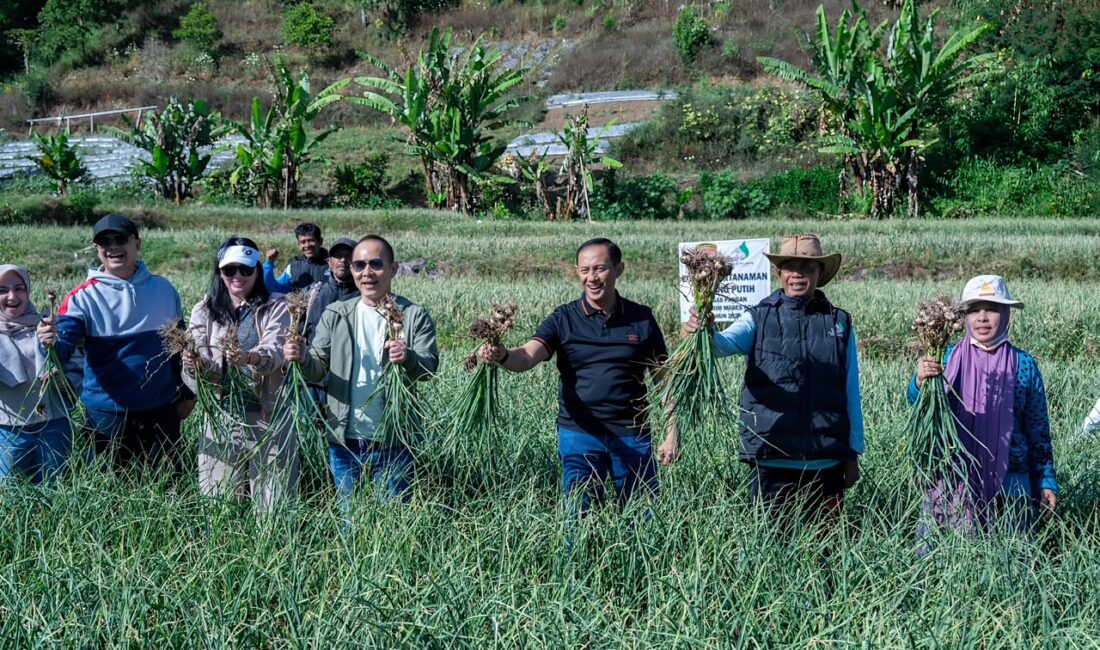 Satgas Pangan Polri Perkuat Swasembada Bawang Putih, Lahan Tanam di Sembalun Capai 534 Hektare